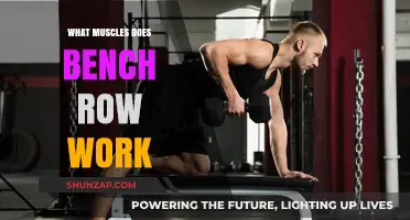Bench Row Muscles: Targeted Strength Training for Upper Body Power