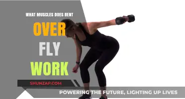 Bent Over Fly: Targeted Muscles and Benefits Explained