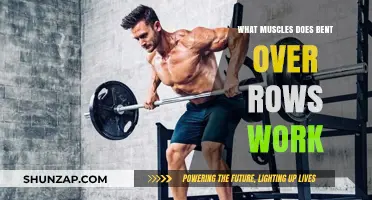 Bent Over Rows: Target Muscles and Benefits Explained
