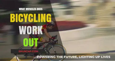 Pedal Power: Muscles Targeted and Strengthened by Bicycling