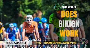 Biking Benefits: Muscles Targeted and Strengthened During Cycling