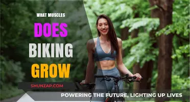Biking Benefits: Muscles Strengthened and Toned Through Cycling