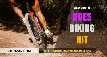 Targeted Muscle Groups for Cyclists