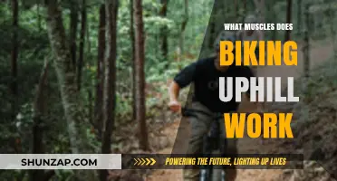 Biking Uphill: Target Muscles and Benefits for a Stronger Ride