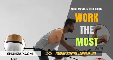 Pedal Power: Unlocking the Muscles Biking Works the Most
