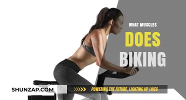 How Biking Activates Your Leg Muscles
