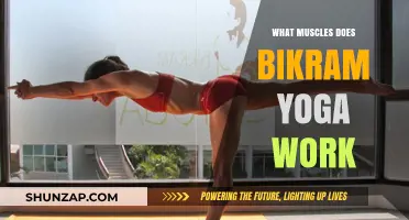 Bikram Yoga Benefits: Targeted Muscles and Full-Body Strengthening Explained
