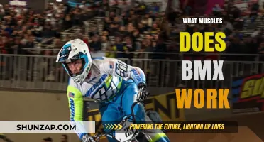 BMX Training: Target Muscles and Full-Body Benefits Explained