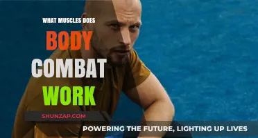 Body Combat Workout: Target Muscles and Full-Body Benefits Explained