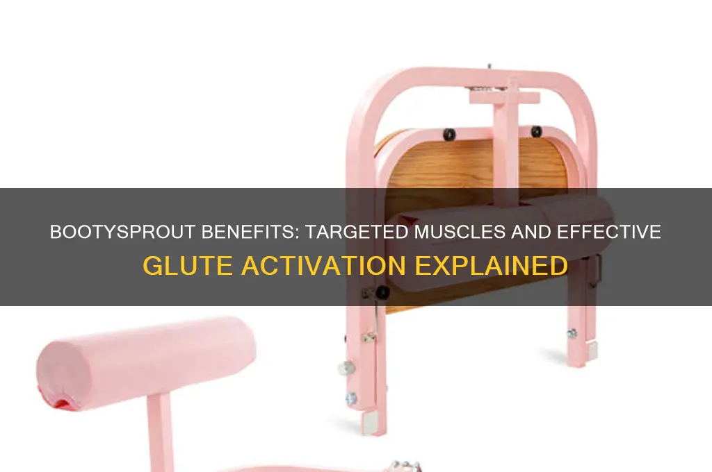 what muscles does bootysprout work