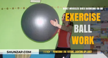 Bouncing on an Exercise Ball: Target Muscles and Benefits Explained