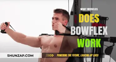 Bowflex Workouts: Targeting Muscles for Full-Body Strength and Tone