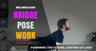 Bridge Pose Benefits: Targeted Muscles and Strengthening Effects Explained