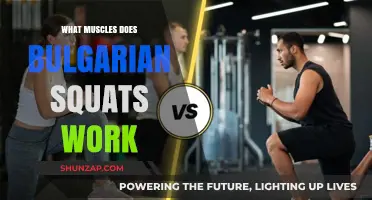 Bulgarian Split Squats: Targeted Muscles and Benefits Explained