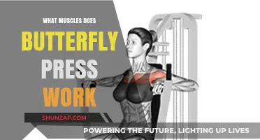 Butterfly Press Muscles: Targeted Chest, Shoulder, and Tricep Workout Explained