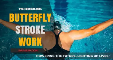 Butterfly Stroke Muscles: A Full-Body Workout Breakdown