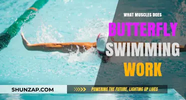 Butterfly Stroke: Muscles Worked and Strengthened in Swimming
