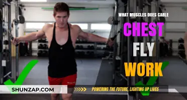 Cable Chest Fly Muscles: Targeted Workout for Upper Body Strength