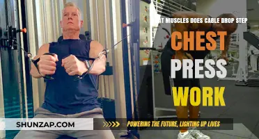 Cable Drop Step Chest Press: Targeted Muscles and Benefits Explained