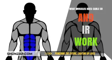 Cable External and Internal Rotations: Targeted Muscles Explained