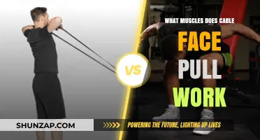 Cable Face Pull Muscles: Targeted Benefits and Proper Form Guide