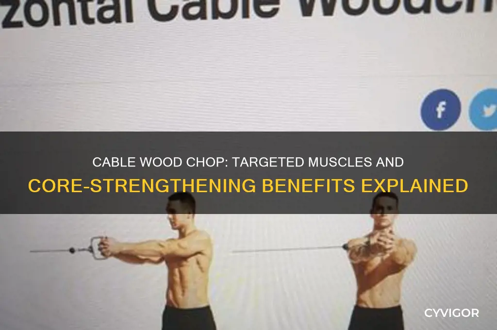 what muscles does cable wood chop work
