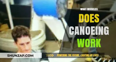 Canoeing's Full-Body Workout: Muscles Engaged in Every Paddle Stroke