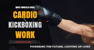 Cardio Kickboxing: Full-Body Muscle Engagement and Fitness Benefits Explained