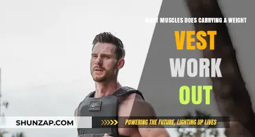 Weight Vest Workout: Targeted Muscles and Strength Benefits Explained