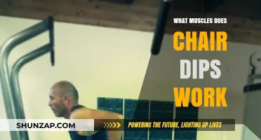 Chair Dips: Targeted Muscles and Benefits for Upper Body Strength