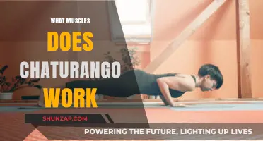 Chaturanga Muscles: Strengthening Core, Arms, and Shoulders in Yoga