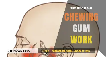 Chewing Gum Benefits: Muscles Worked and Jaw Strengthening Explained