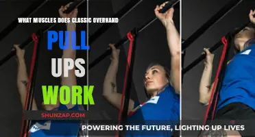 Overhand Pull-Ups: Targeted Muscles and Strength Benefits Explained