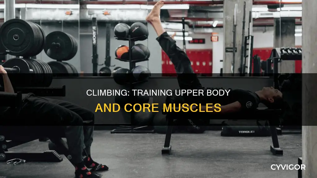 what muscles does climbing train