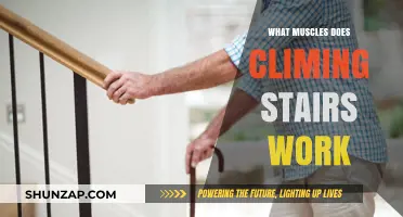 Climbing Stairs: A Full-Body Workout Targeting Key Muscle Groups