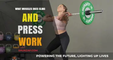 Cling and Press: Targeted Muscles for Strength and Toning Explained