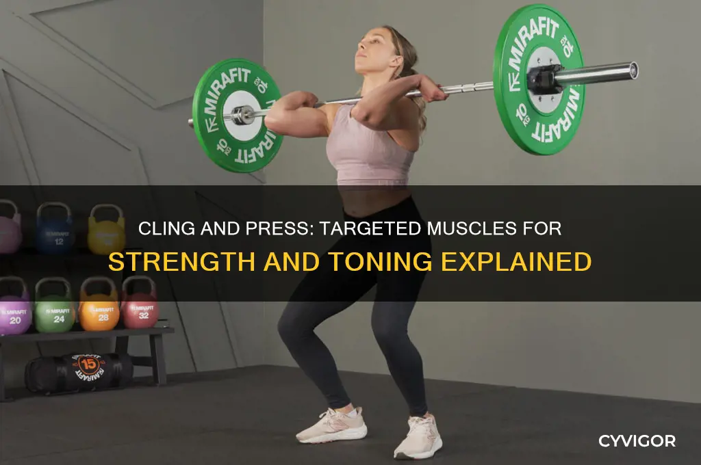 Cling And Press: Targeted Muscles For Strength And Toning Explained ...