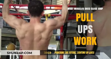 Close Grip Pull-Ups: Targeted Muscles and Strength Benefits Explained