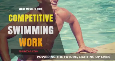 Swimming's Full-Body Workout: Muscles Engaged in Competitive Strokes