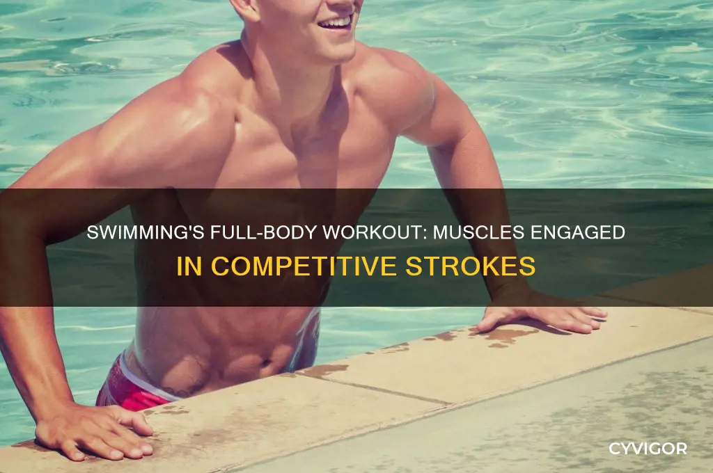 what muscles does competitive swimming work