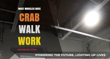Crab Walk Benefits: Targeted Muscles and Full-Body Strength Training Explained