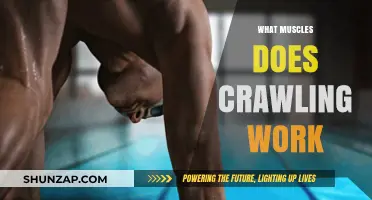 Crawling Benefits: Muscles Engaged and Strengthened Through This Movement