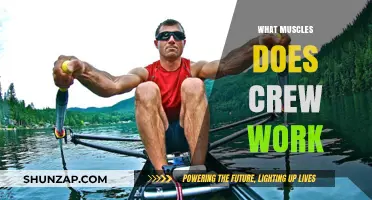 Rowing's Full-Body Benefits: Muscles Engaged in Crew Workouts Explained