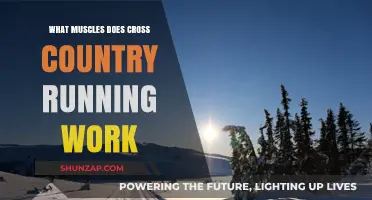 Cross Country Running: Target Muscles for Endurance and Strength
