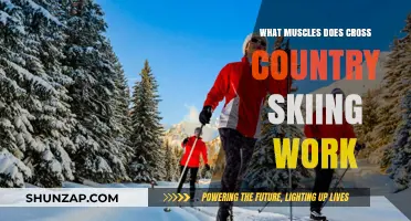 Cross-Country Skiing: A Full-Body Workout Targeting Core, Legs, and Arms