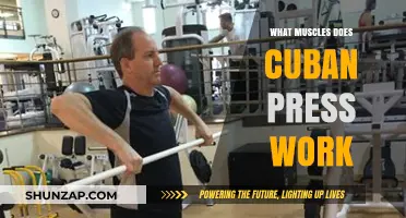 Cuban Press Muscles: Targeted Benefits and Full-Body Engagement Explained