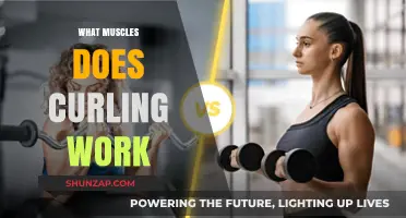 Curling Workout Benefits: Targeted Muscles and Strength Training Explained