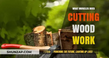 Cutting Wood: A Full-Body Workout Targeting Muscles You Didn't Expect