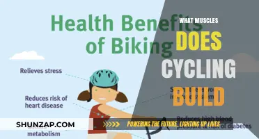 Pedal Power: Unveiling the Muscles Cycling Builds
