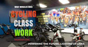 Cycling Class Benefits: Targeted Muscles for Strength and Endurance